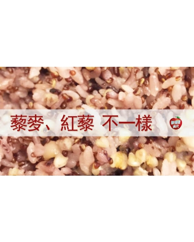 營養師介紹新食材－藜麥、紅藜，傻傻分不清楚